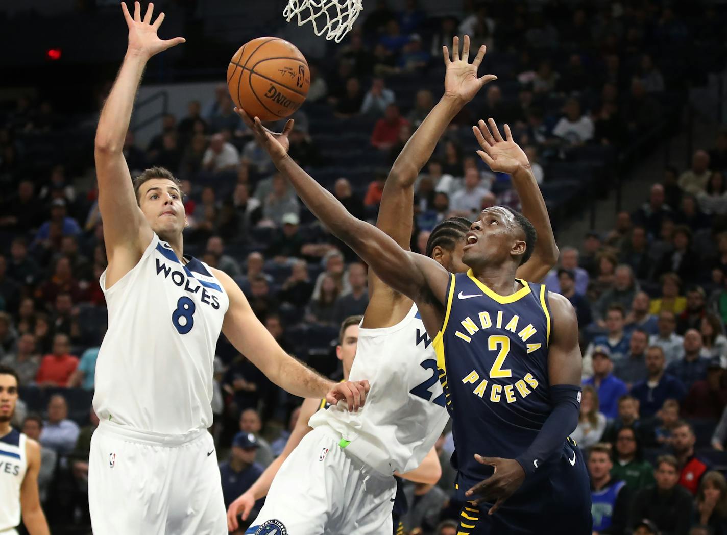 Pacers guard Darren Collison scored over Timberwolves forward Nemanja Bjelica (8) and Andrew Wiggins in the second half