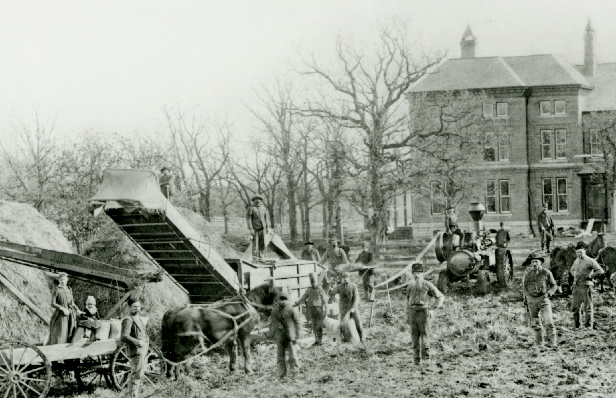 Black and white photographic print of a threshing scene at the Goodhue County Poor Farm. The image depicts a groupd of people standing with horses, wagons, and farm equipment with hay on the left.