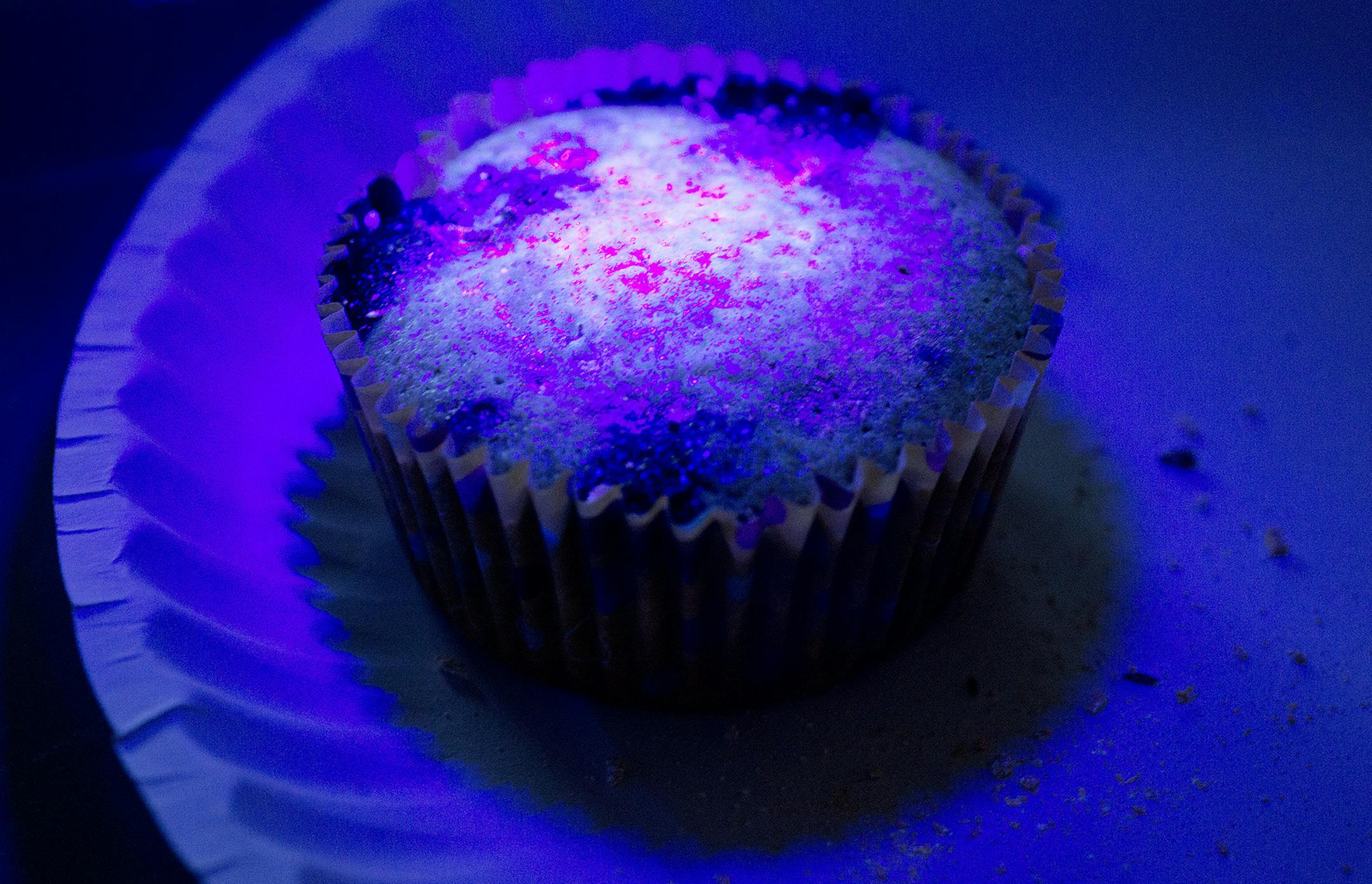 Top Fruit of the Forest Berry Muffins with ground-up B-complex vitamins for a glow effect.