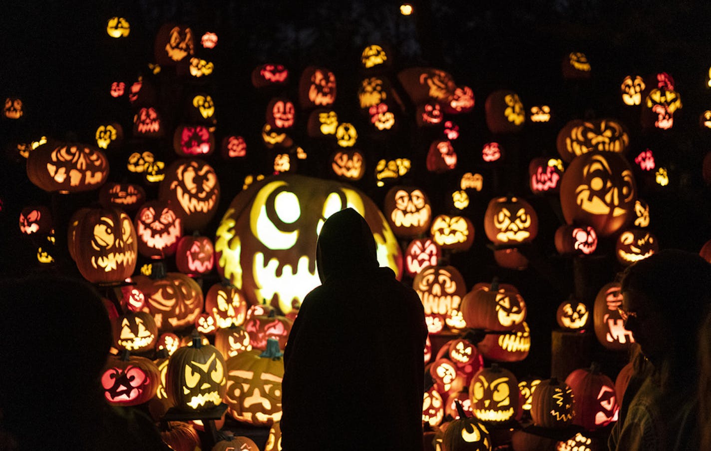 The Minnesota Zoo's Jack-O-Lantern Spectacular.