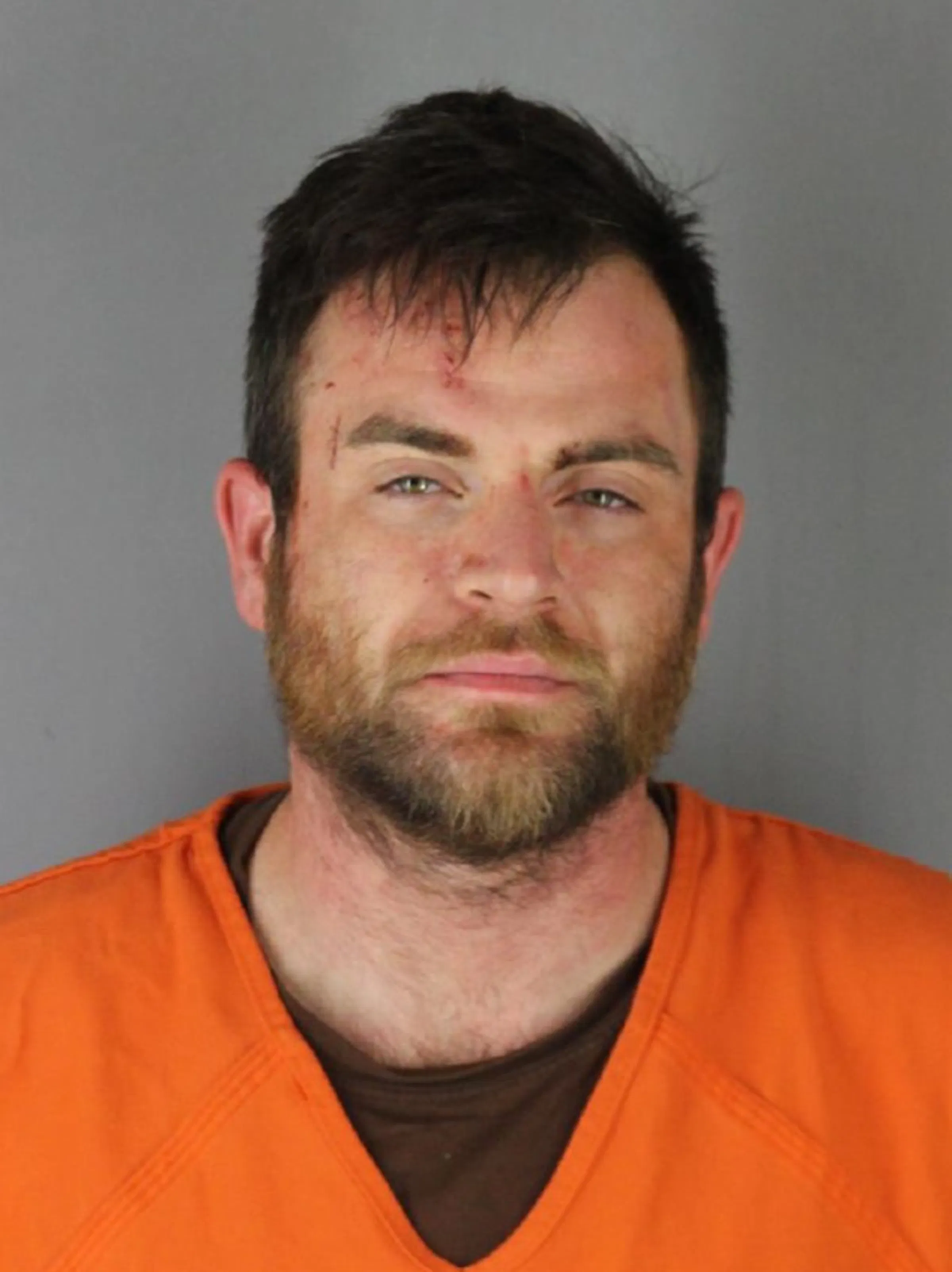 St. Paul man who drove into crowd of Uptown protesters pleads guilty to ...