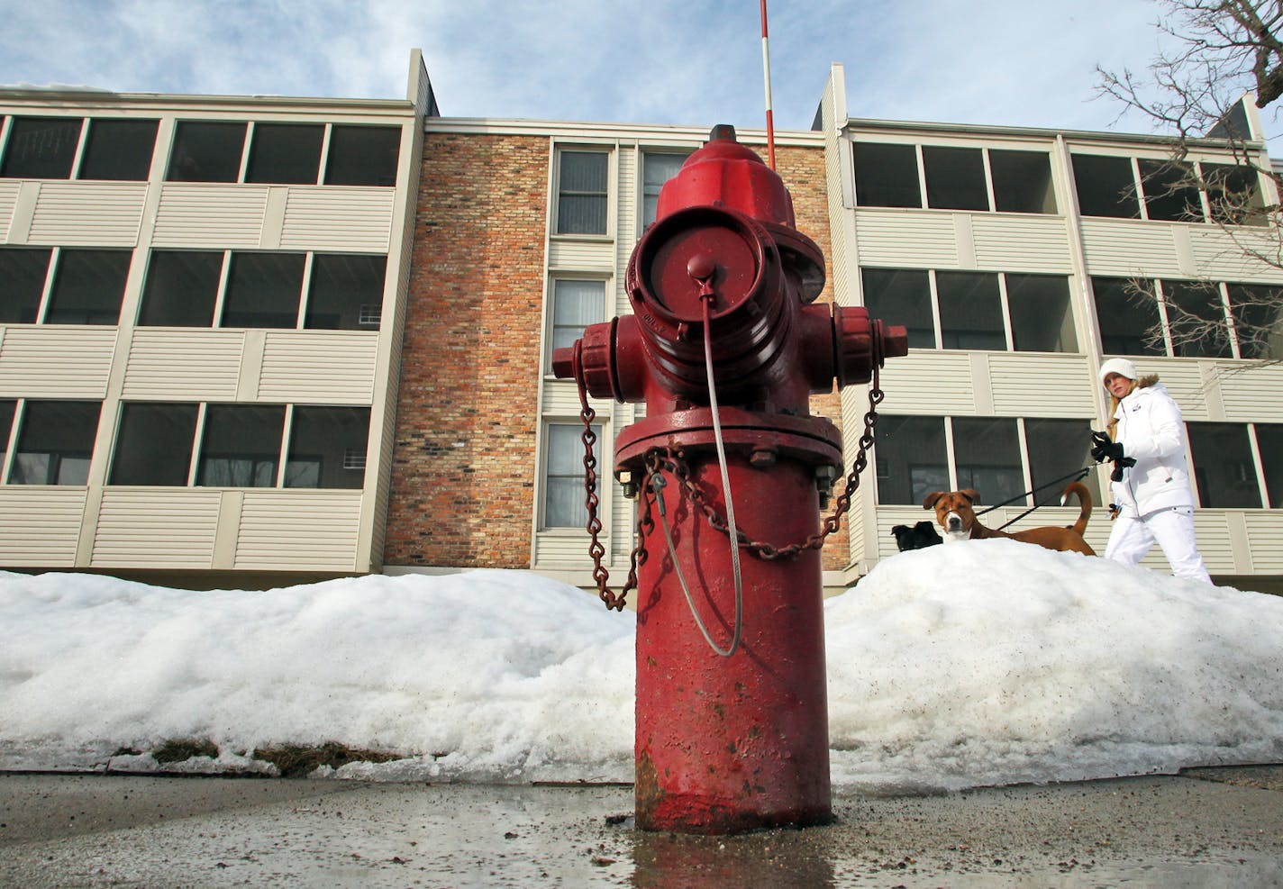 Until recently, private fire hydrants in Burnsville weren&#x2019;t being tested or maintained because their owners didn&#x2019;t realize it was their job. Tests at properties including the Raven Hills apartment complex, pictured, found that as many as 20 percent of private hydrants in the city weren&#x2019;t working. Repairs were made immediately at Raven Hills. Fire hydrant photographed at Raven Hills apartment complex at 13000 Harriet Ave. in Burnsville.
(MARLIN LEVISON/STARTRIBUNE(mlevison@st