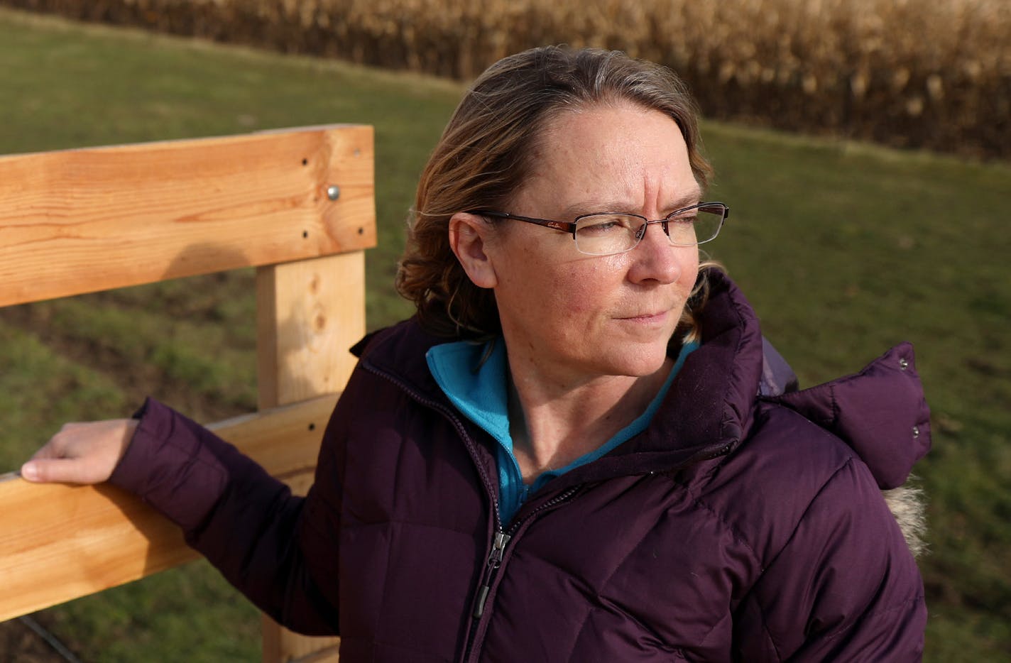 Dorenne Hansen stood for a portrait on her property. ] ANTHONY SOUFFLE &#xef; anthony.souffle@startribune.com Dorenne Hansen, the head of a property owners association fighting a proposed wind farm, spoke during an interview and gave a tour of her property Wednesday, Nov. 8, 2017 in Glenville, Minn. Hansen is concerned for the noise, shadows, and the obstruction of her views by windmills. The wind farm that has generated enough opposition from Freeborn County residents south of Albert Lea to bec