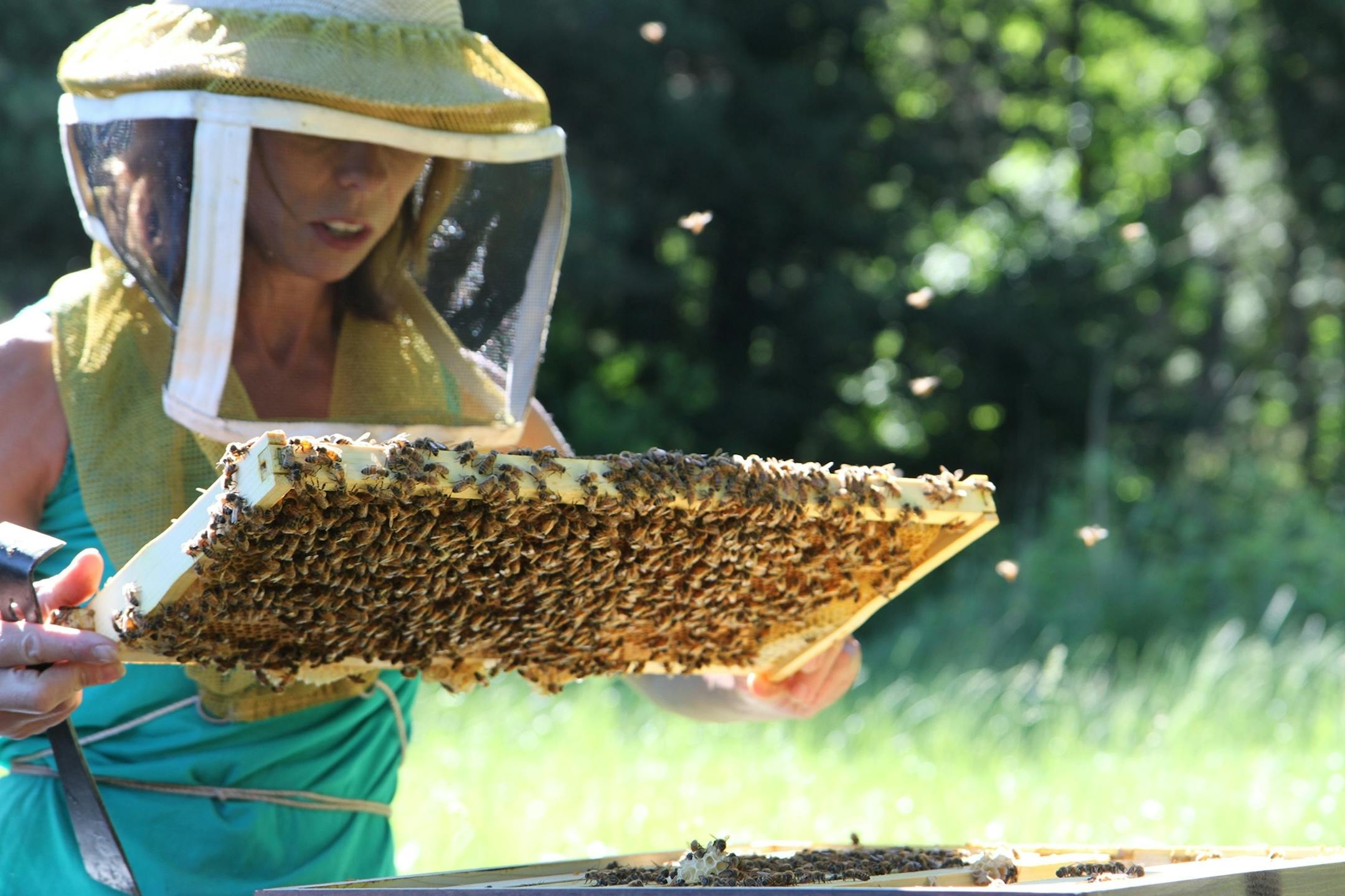 Mary Jo Hoffman, Special to the Star Tribune Becky Masterson of the University of Minnesota Entomology Department's Bee Squad