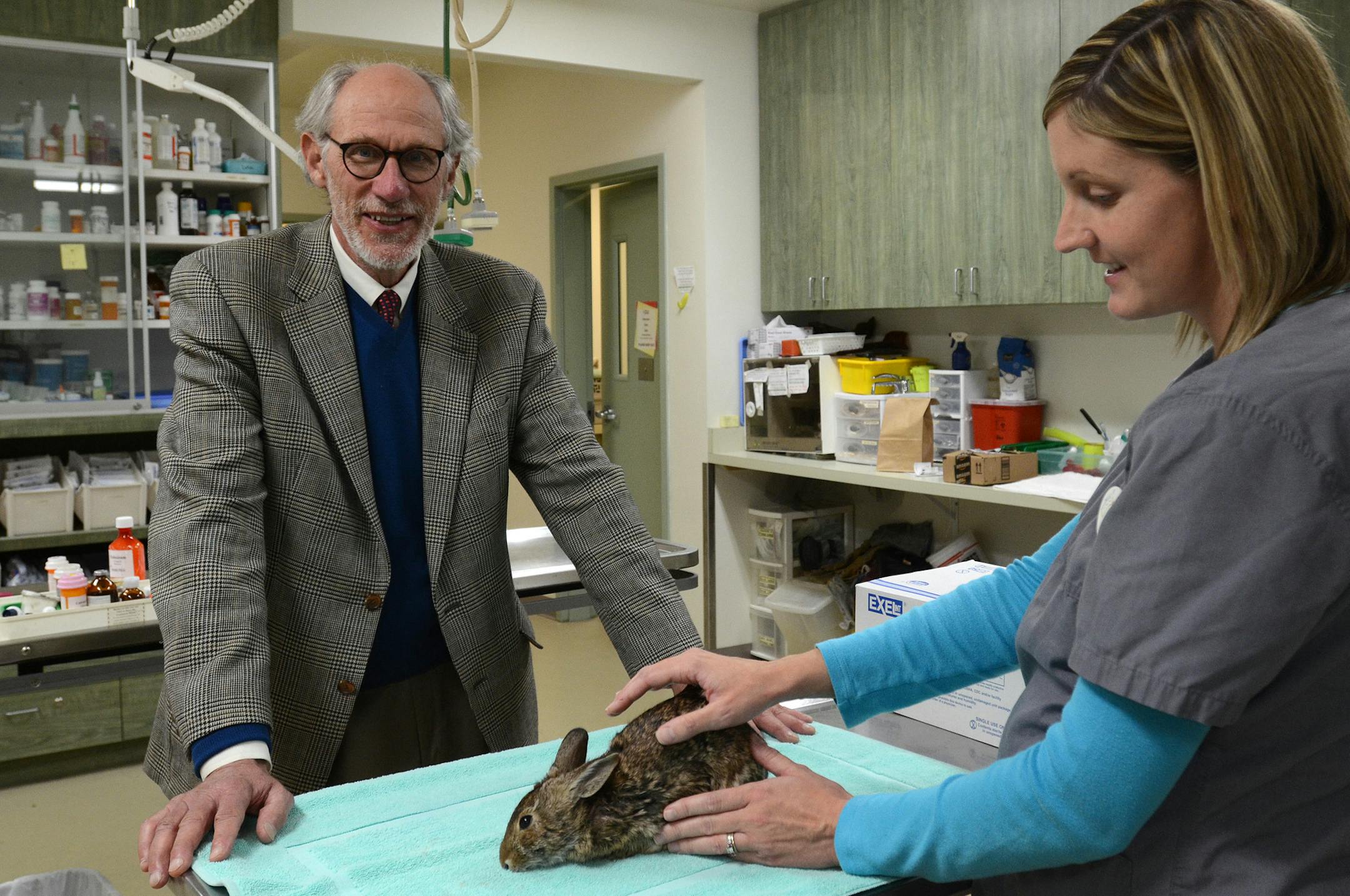 (Left to right) Phil Jenni, executive director of the Wildlife Rehabilitation Center of Minnesota (WRCMN), watched as veterinarian Leslie Reed cared for an injured rabbit that had been brought into the center. The WRCMN is a nonprofit, donor supported organization that provides medical care and rehabilitation for injured, sick and orphaned wildlife. ) ] Joey McLeister,Special to the Star Tribune,Roseville,MN October14,2013