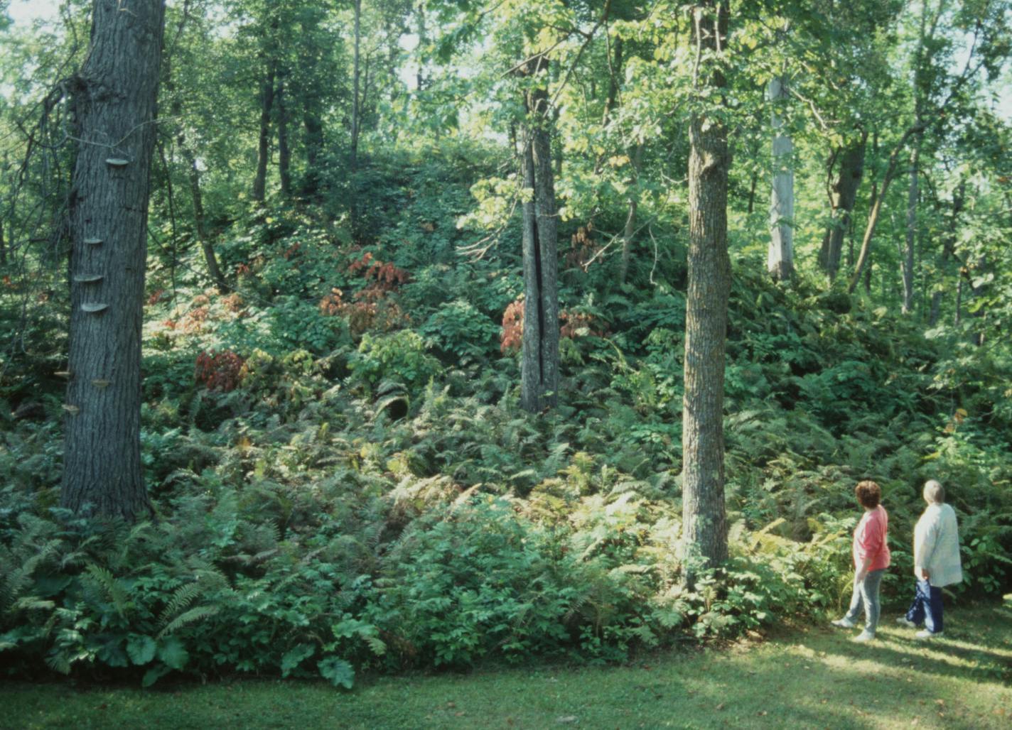 Grand Mound / photo possibility but did not run with Star Tribune travel writer Catherine Watson story Sunday April 19, 1998, about mounds in the earth which were once burial monuments or religious centers / Grand Mound is a Minnesota state historic site near International Falls. / 1991 photo by Catherine Watson. ORG XMIT: MIN2014100319094284