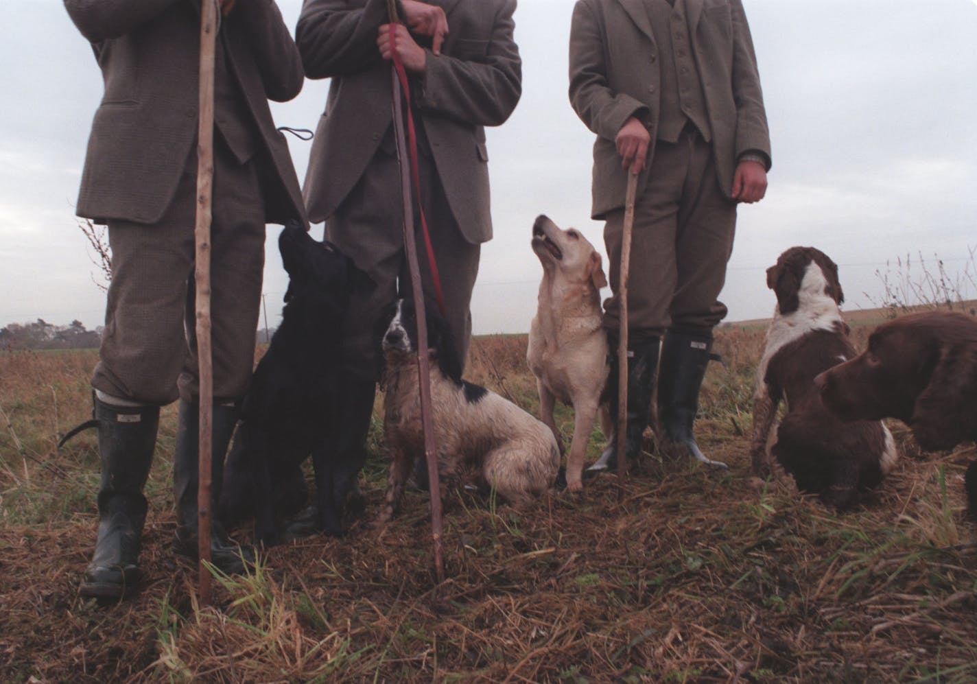 A British Retriever Championship is hallowed for handler and dog.