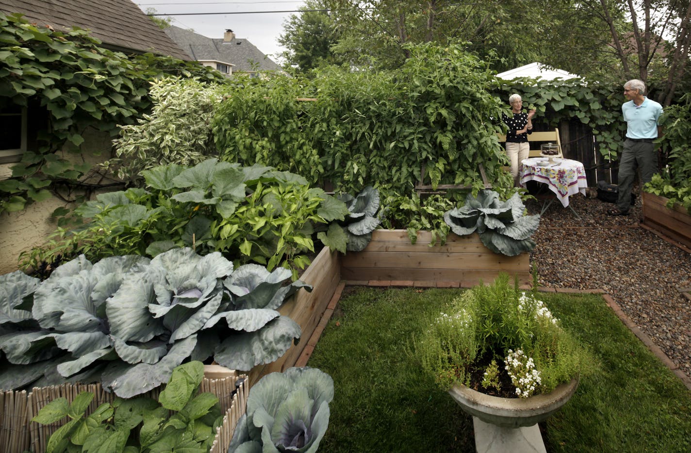 Eileen Troxel and her husband Bill Troxel in the garden in the backyard of their home. Beautiful Garden winner Eileen Troxel has a formal vegetable garden that produces edibles for her summer table and fodder for her food blog. St. Paul, MN on August 8, 2013. ] JOELKOYAMA&#x201a;&#xc4;&#xa2;joel koyama@startribune Prosthetics and Orthotics program at Century College was recently was given a $4.6 million grant for expansion from the federal government.