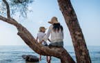 Mother and daughter sit on a tree at the beach