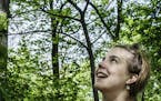 Maria Wasserle looks up at a mature hackberry tree, which produces edible berries