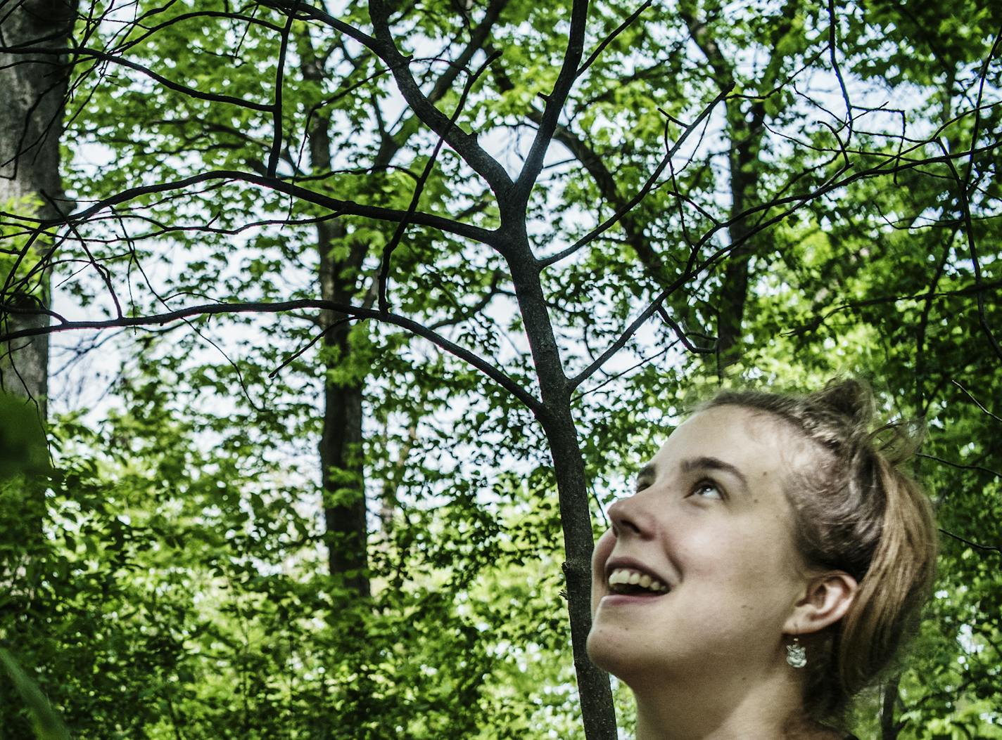 Maria Wasserle looks up at a mature hackberry tree, which produces edible berries