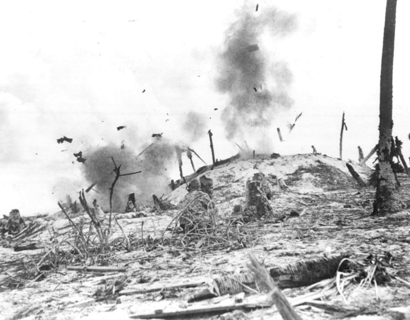 August 8, 1945 Photo Shows: Two Marines, Barely visible because of their camouflaged clothing, hide behind Palm Stumps and dynamite a Japanese sniper's pillbox on Tarawa. More than 3,000 Marines were killed or wounded in the capture of the atoll in the Gilbert islands.