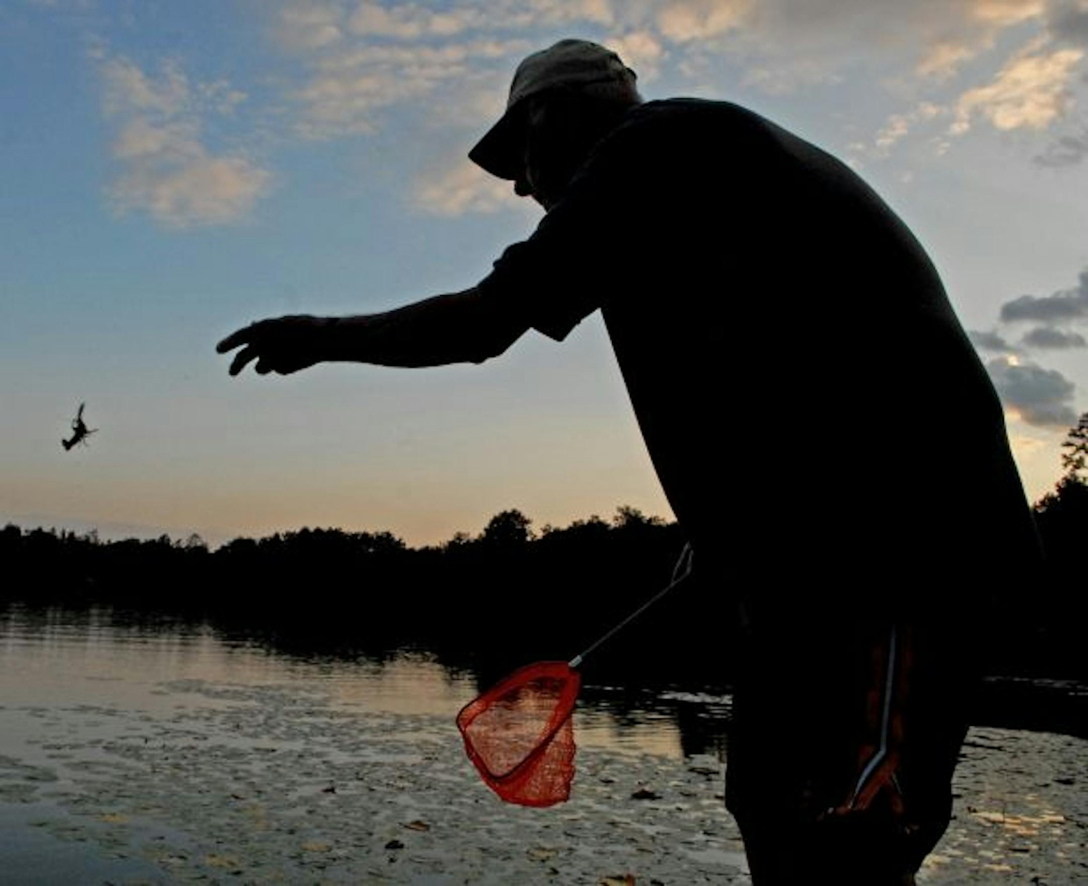 Finished fishing for the evening, Bud Grant feeds leftover minnows and crayfish to fish in a lake on his northwest Wisconsin property.