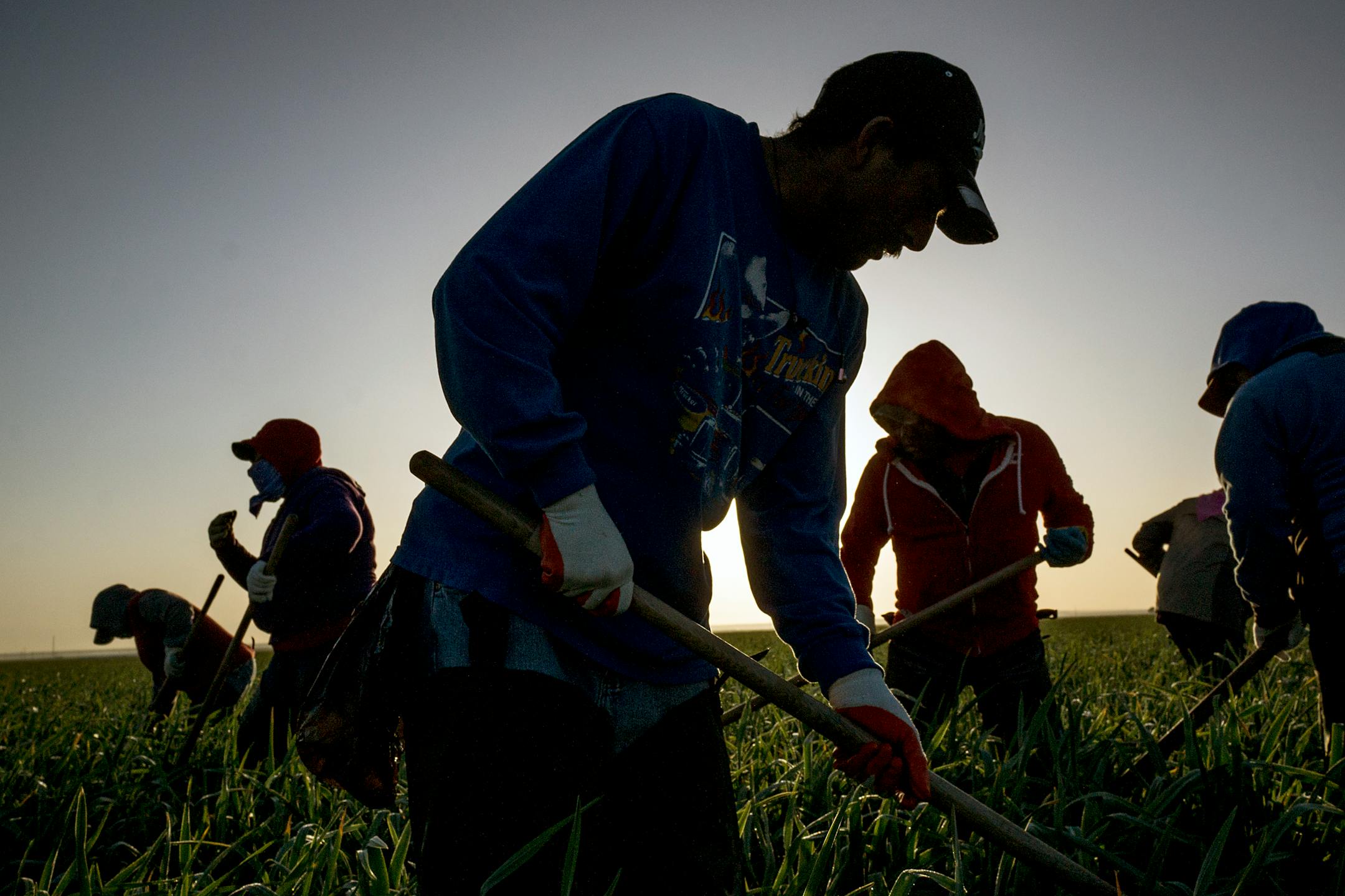STRATFORD, CA — BC-OPED-LANDAU-MIGRANT-CRISIS-JOBS-ART-NYTSF — No one is holding American employers to account for their willingness to hire millions of unauthorized immigrants. (Matt Black for The New York Times) — ONLY FOR USE WITH ARTICLE SLUGGED — BC-OPED-LANDAU-MIGRANT-CRISIS-JOBS-ART-NYTSF — OTHER USE PROHIBITED
