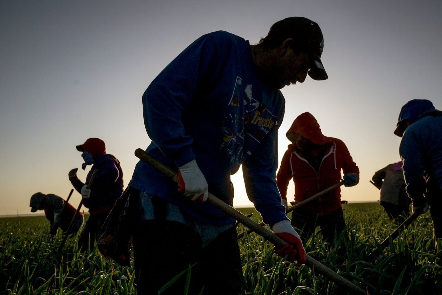 STRATFORD, CA — BC-OPED-LANDAU-MIGRANT-CRISIS-JOBS-ART-NYTSF — No one is holding American employers to account for their willingness to hire millions of unauthorized immigrants. (Matt Black for The New York Times) — ONLY FOR USE WITH ARTICLE SLUGGED — BC-OPED-LANDAU-MIGRANT-CRISIS-JOBS-ART-NYTSF — OTHER USE PROHIBITED