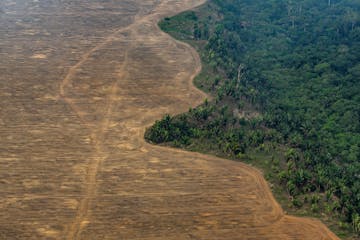 An aerial view of a soybean plantation that uses burning to expand its area near Porto Velho, Brazil, in September 2019.