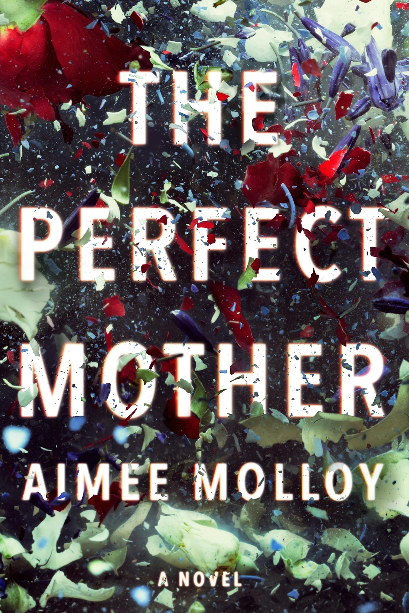 The Perfect Mother, by Aimee Molloy