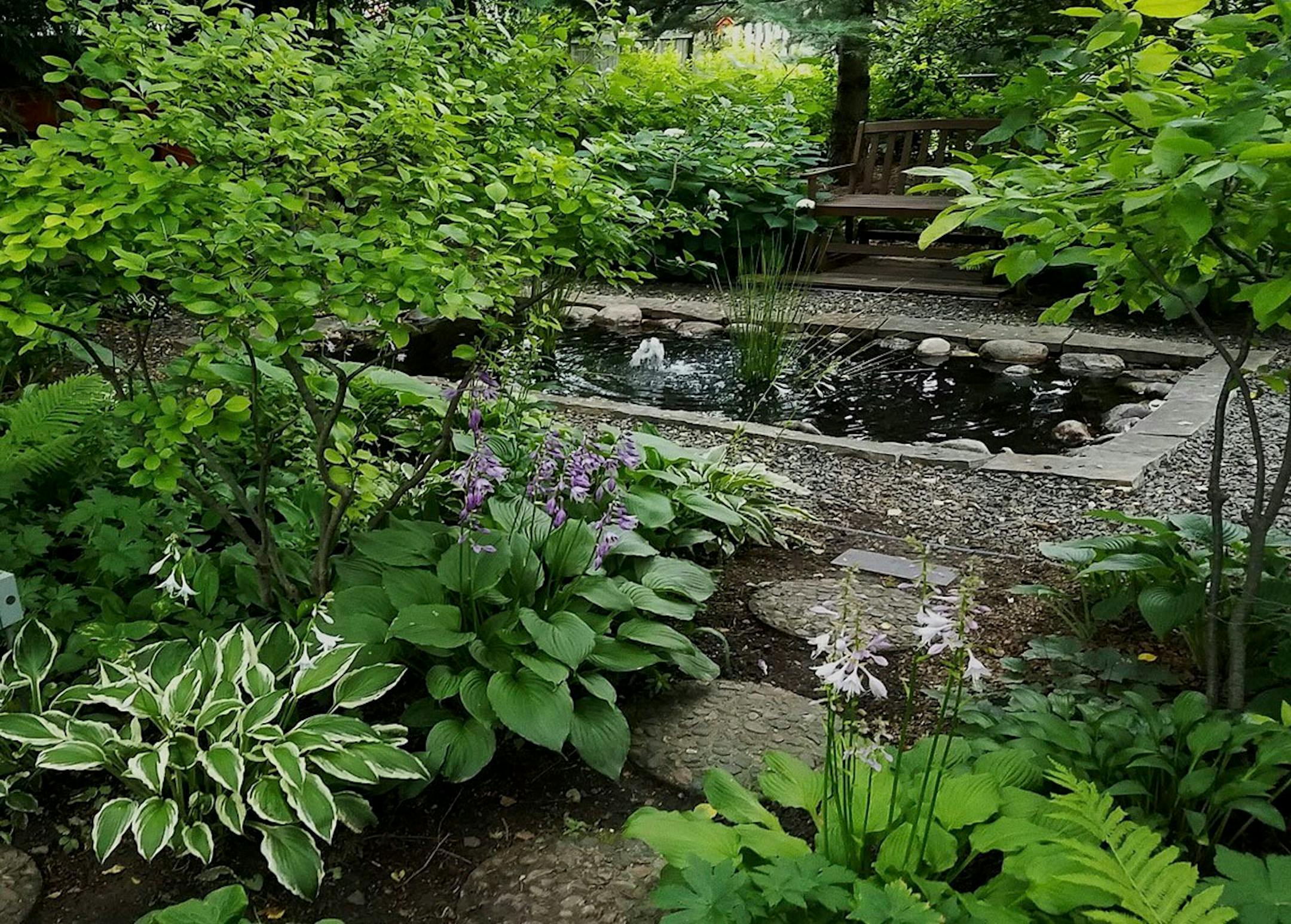 Jeremy Mayberg's garden in Edina includes this reflecting pond.