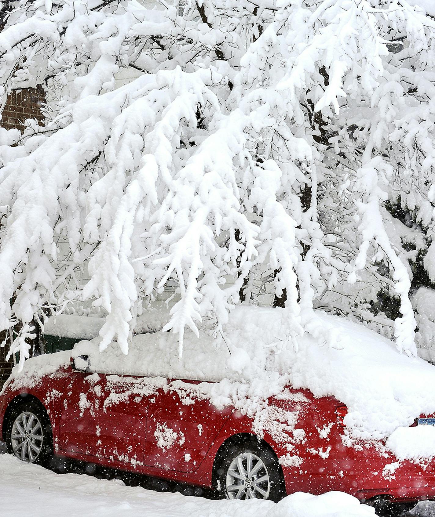 Snow-laden tree branches bend over a parked car Thursday morning as the storm responsible for the snowfall moved slowly through the region. Winter made a return appearance in southeastern Minnesota where residents are digging out of more than a foot of new snow. (Associated Press/Austin Daily Herald, Eric Johnson) ORG XMIT: MIN2013050215164663