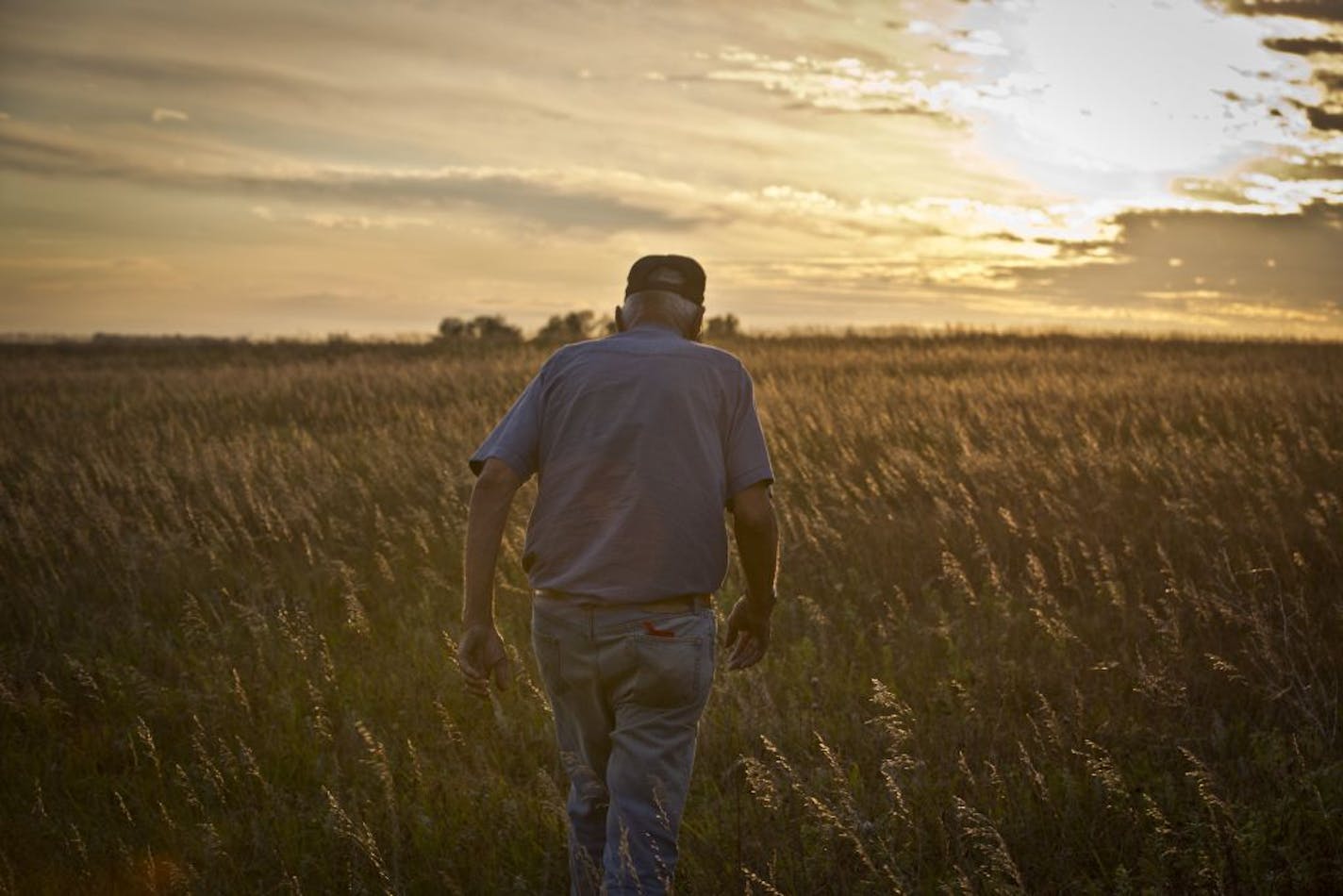 Herb Hamann, 83, a cattle rancher in Clear Lake, S.D., walked his land last month. He has agreed to put his 5,000 acres in permanent easement, protecting it as native prairie. "That's the way I want it," he said.