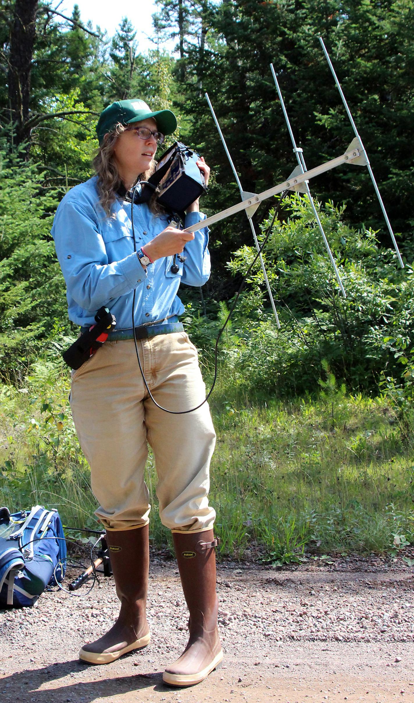 Shannon Barber-Meyer, research wildlife biologist, afield.