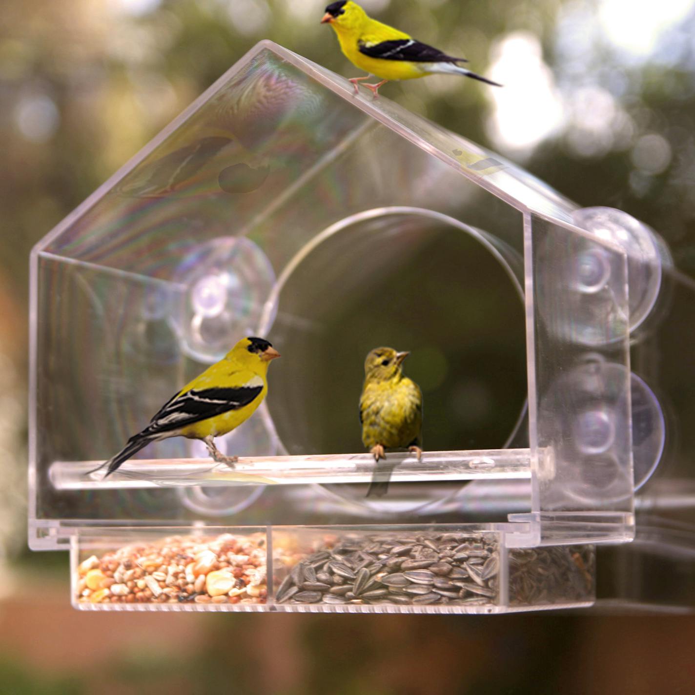 The Birds-I-View window bird feeder. MUST CREDIT: Photo courtesy of Nature Anywhere.