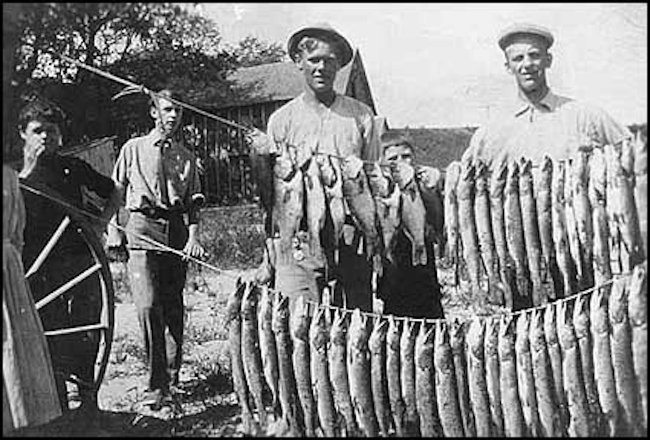 Snail Lake catch, 1913