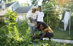 LeAndra Estis checked on the growth progress of vegetables in her backyard garden in St. Paul. Her daughters Quaia, left, and Lonna help in the garden