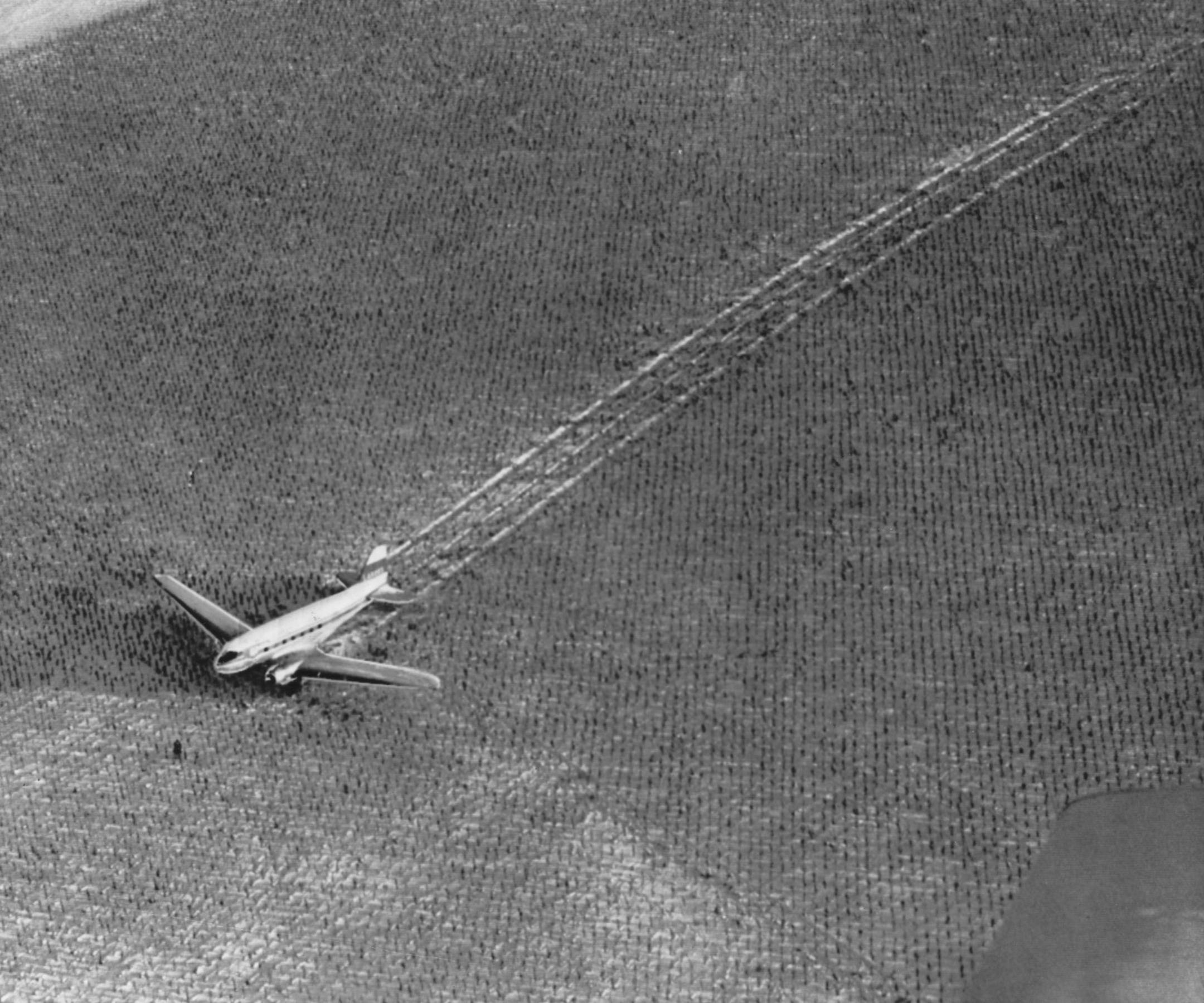 DC-3 plane in snow covered cornfield with the Minneapolis Lakers onboard