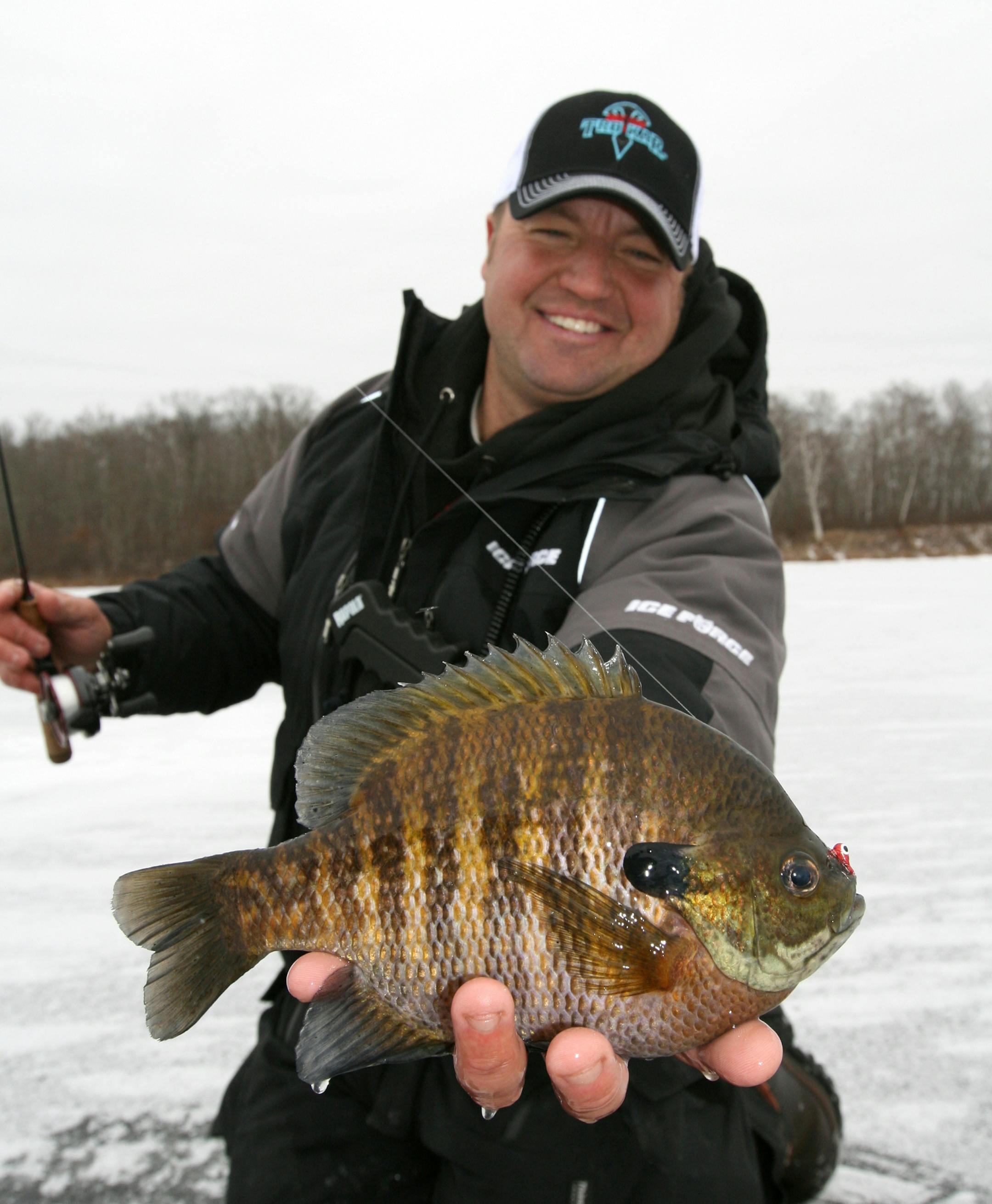 Fishing guide Tony Roach of Malmo, Minn., with a bluegill he caught on a Brainerd-area lake last week. "Early ice is fantastic,'' he said. Photo by Cory Schmidt.