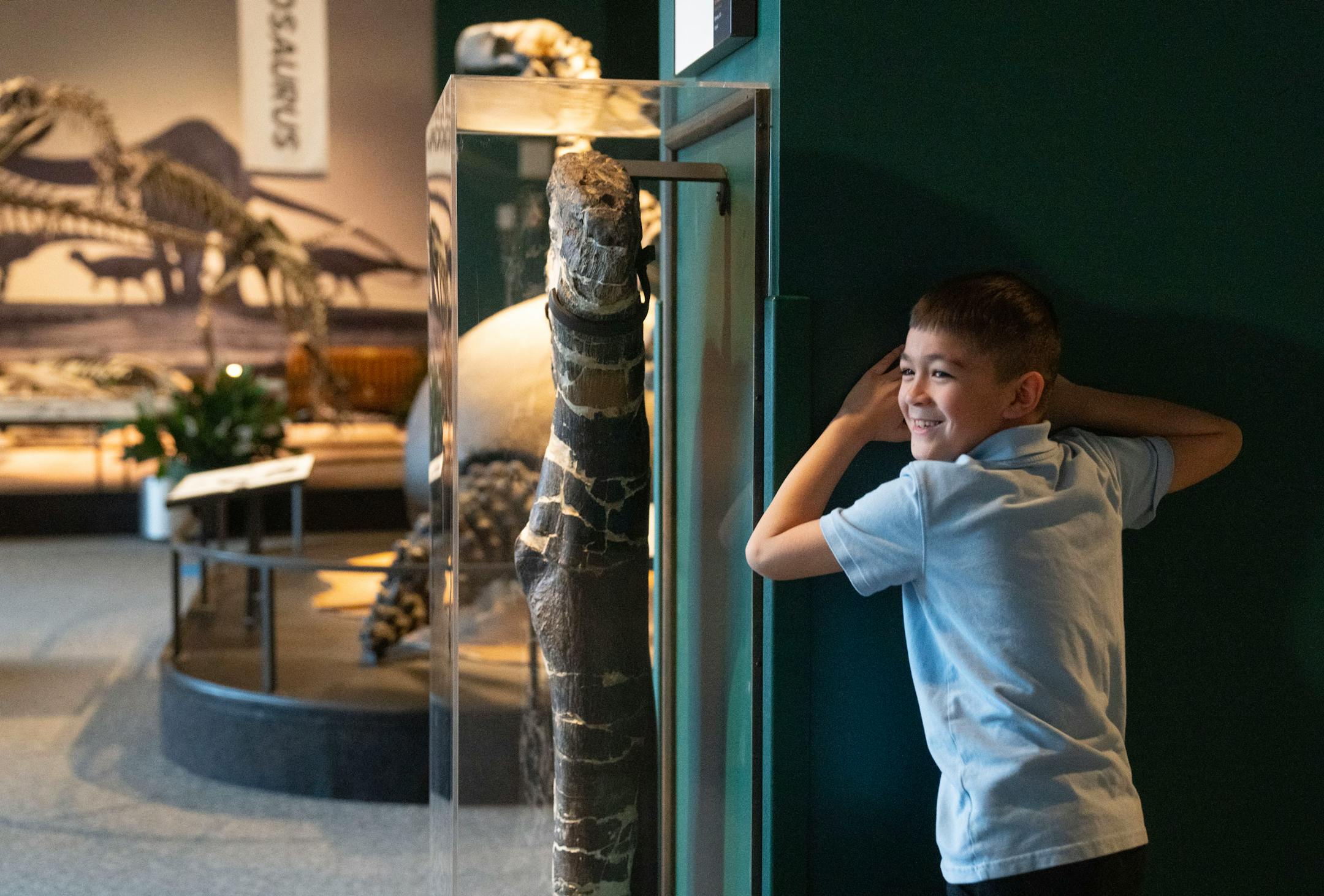 Ronin Nguyen plays hide and seek near the Dinosaurs & Fossils Gallery.