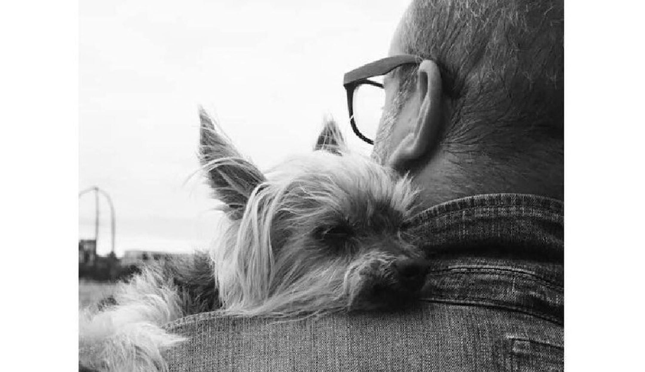 After Ken O'Brien lost his beloved Yorkie, Oliver Bruce, he learned he wasn't alone. He was surrounded by an entire community that understood the hole an 8-pound dog can rip in your heart.