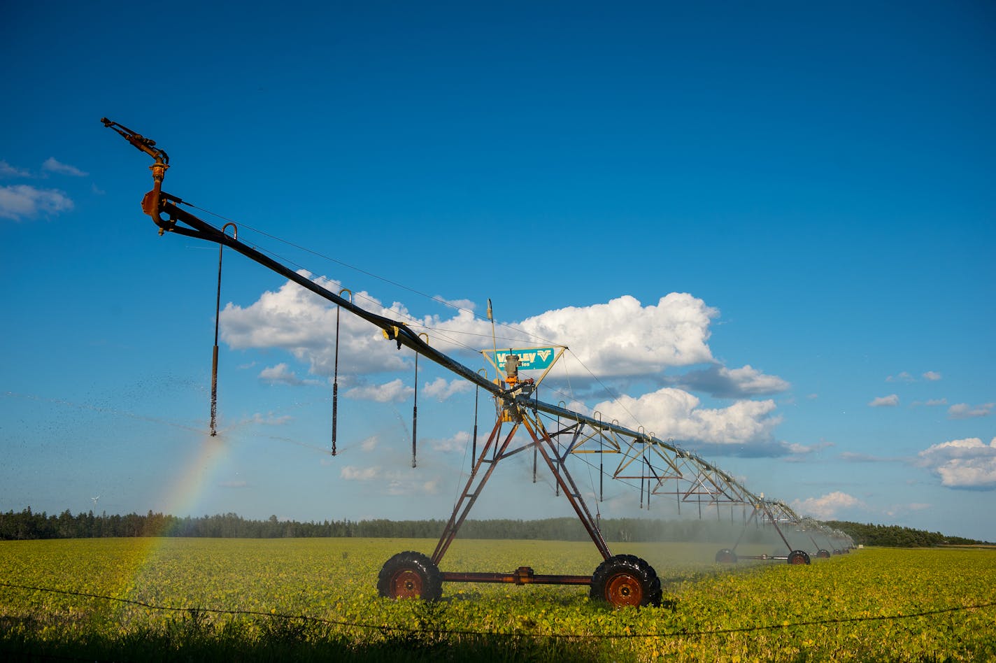 A pivot irrigation system sprayed water onto a soybean crop just south of Park Rapids in Straight River Township in mid August. The Straight River is a tributary of the Mississippi threatened by an increase of agricultural pollution. ] (AARON LAVINSKY/STAR TRIBUNE) aaron.lavinsky@startribune.com RIVERS PROJECT: We look at three of Minnesota's rivers, including the Mississippi, Red and Chippewa, to see how land use effects water quality and pollution.