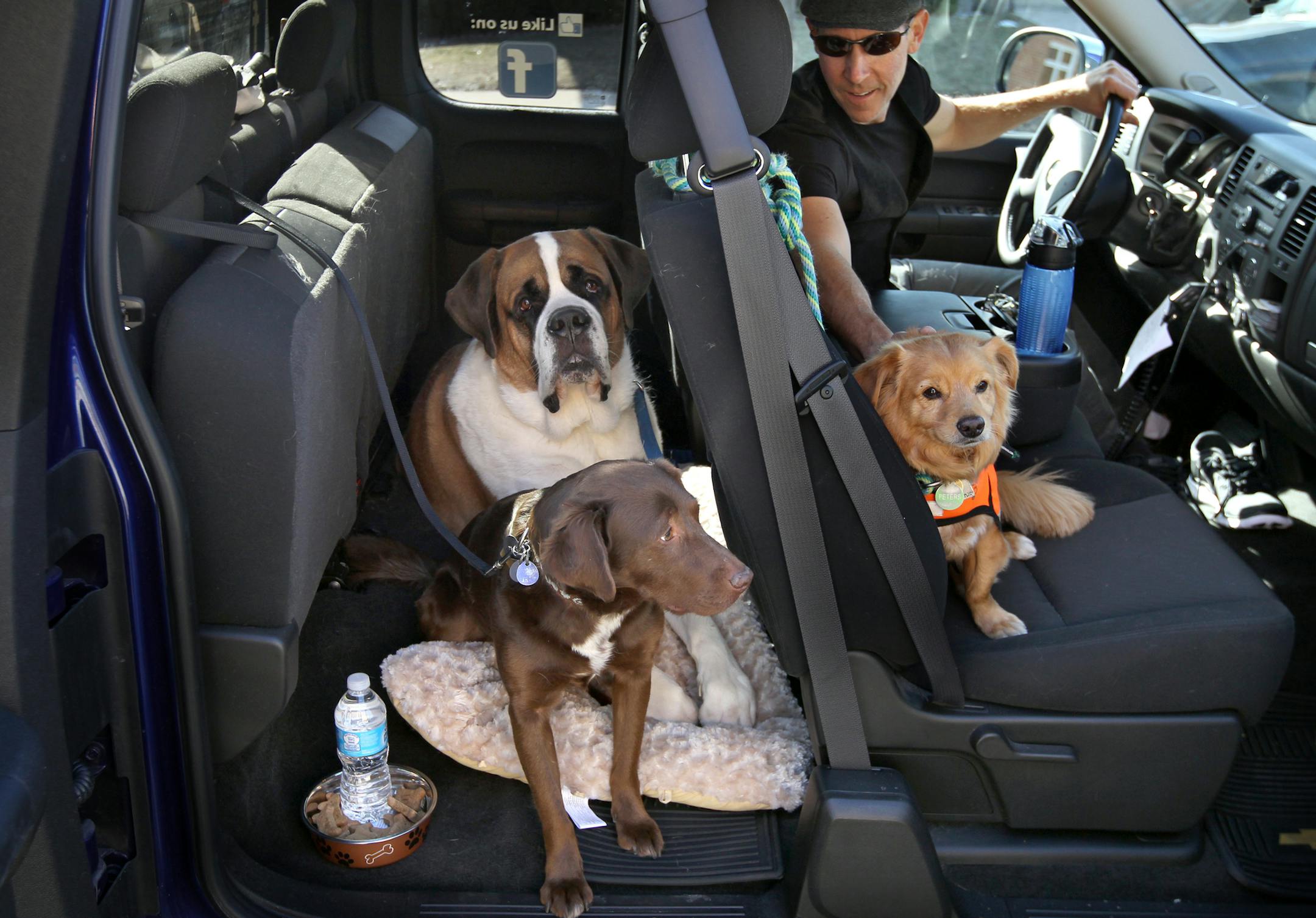 Daniel Peleske picks up Sadie, brown, Winston, big guy and and Brew, front seat, from the Canine Coach Last week as part of his service for dogs. A high-end dog taxi that he bills as a dog limo. STAR TRIBUNE/TOM WALLACE Assignments #20028357A April 2, 2013 EXTRA INFORMATION SLUG & MAGIC SAXO#: 987261 Pettaxi041313 EXTRA INFORMATION: The next time you hail a cab, it might be for your dog. Dog taxis -- vans that transport pets to groomers, vets and doggie daycare, have been common for years in pla