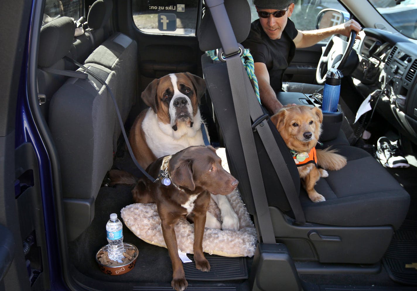 Daniel Peleske picks up Sadie, brown, Winston, big guy and and Brew, front seat, from the Canine Coach Last week as part of his service for dogs. A high-end dog taxi that he bills as a dog limo. STAR TRIBUNE/TOM WALLACE Assignments #20028357A April 2, 2013 EXTRA INFORMATION SLUG & MAGIC SAXO#: 987261 Pettaxi041313 EXTRA INFORMATION: The next time you hail a cab, it might be for your dog. Dog taxis -- vans that transport pets to groomers, vets and doggie daycare, have been common for years in pla