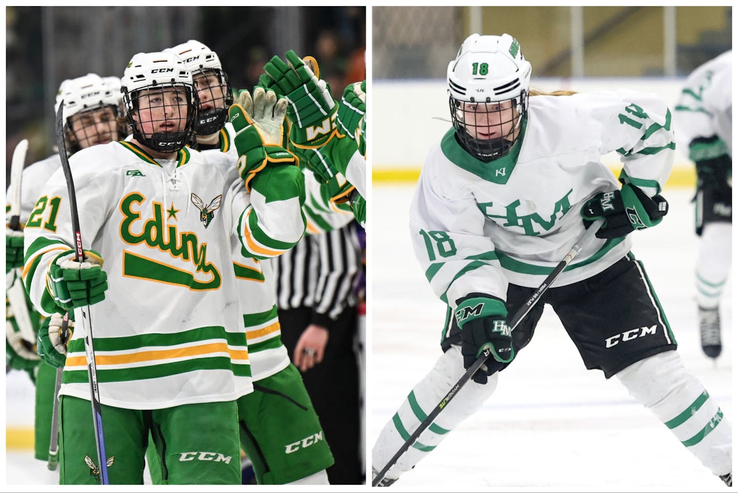 No 'off' in the offseason High school hockey college commitments and more