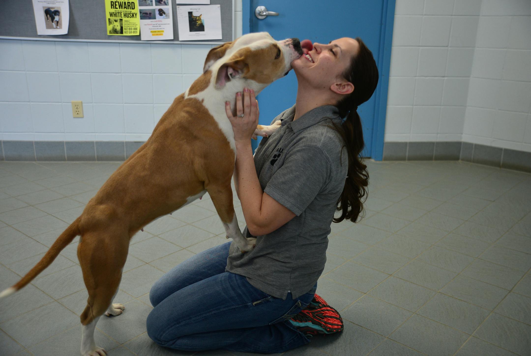 PUPS animal containment coordinator Danielle Cheney visited with Casey a 4 year old pit bull thats very friendly. ] In 2013 more than 800 runaways and strays were brought to north metro animal control called PUPS - Pets Under Police Security. It serves seven cities: Brooklyn Park, Brooklyn Center, Champlin, Crystal, Maple Grove, New Hope and Plymouth. Animals are held for five days per state law and if left unclaimed, they often get the needle at other pounds. But PUPS works with local rescue gr