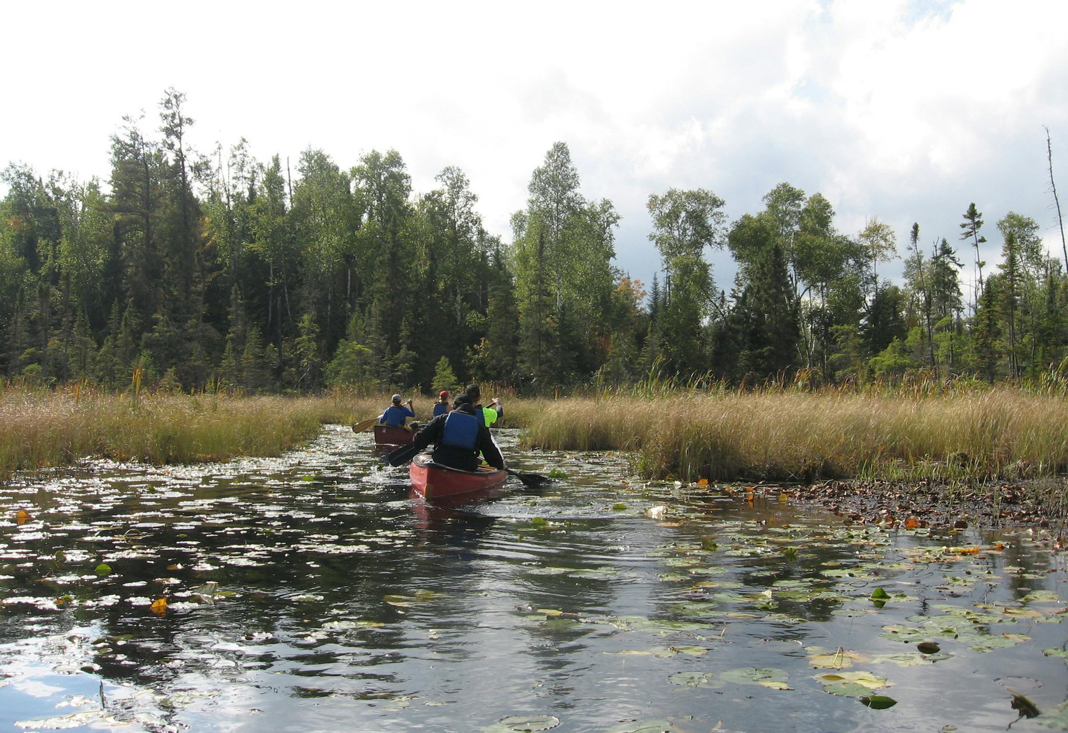 This Sept. 16, 2017 photo shows two canoes along a lily pad-lined bog in Minnesota's Boundary Waters Canoe Area Wilderness. The area protects more than 1,200 miles of canoe trails over lakes and rivers fringed by pine forests. (Giovanna Dell'Orto via AP)