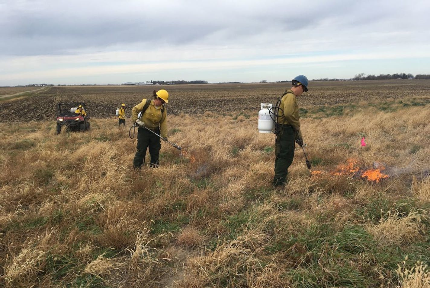 Crews for Conservation Corps Minnesota torched Palmer amaranth weeds in Yellow Medicine County as part of an emergency effort to eradicate them before they spread to crop land.
Photo Credit: Minnesota Department of Agriculture and Conservation Corps Minnesota