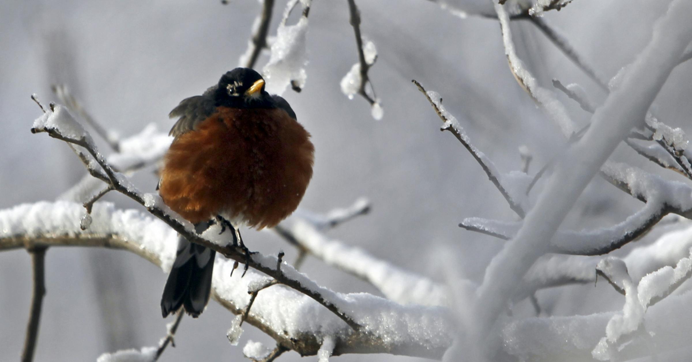 'Messy spring system’ brings rain, sleet and snow to Twin Cities