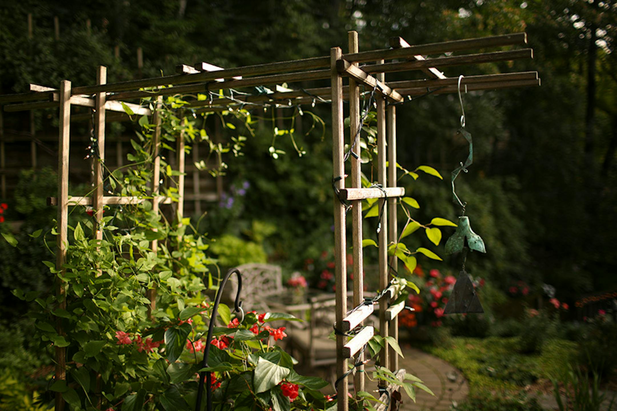 View through a pergola built by Fred.