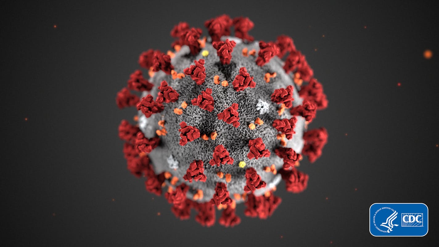 This illustration provided by the Centers for Disease Control and Prevention (CDC) in January 2020 shows the 2019 novel coronavirus (2019-nCoV).