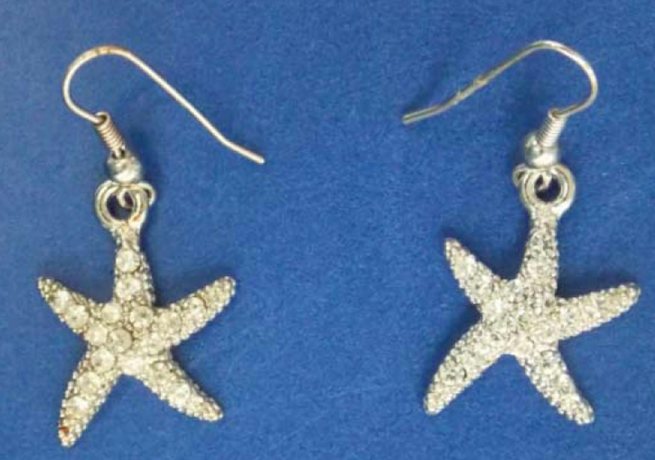 The Dakota County Sheriff's Office and the Bureau of Criminal Apprehension are investigating the discovery of the body of an adult female on April 5.The Sheriff's Office is asking for the public's help in identifying the victim, who was wearing these jewel encrusted starfish earrings.