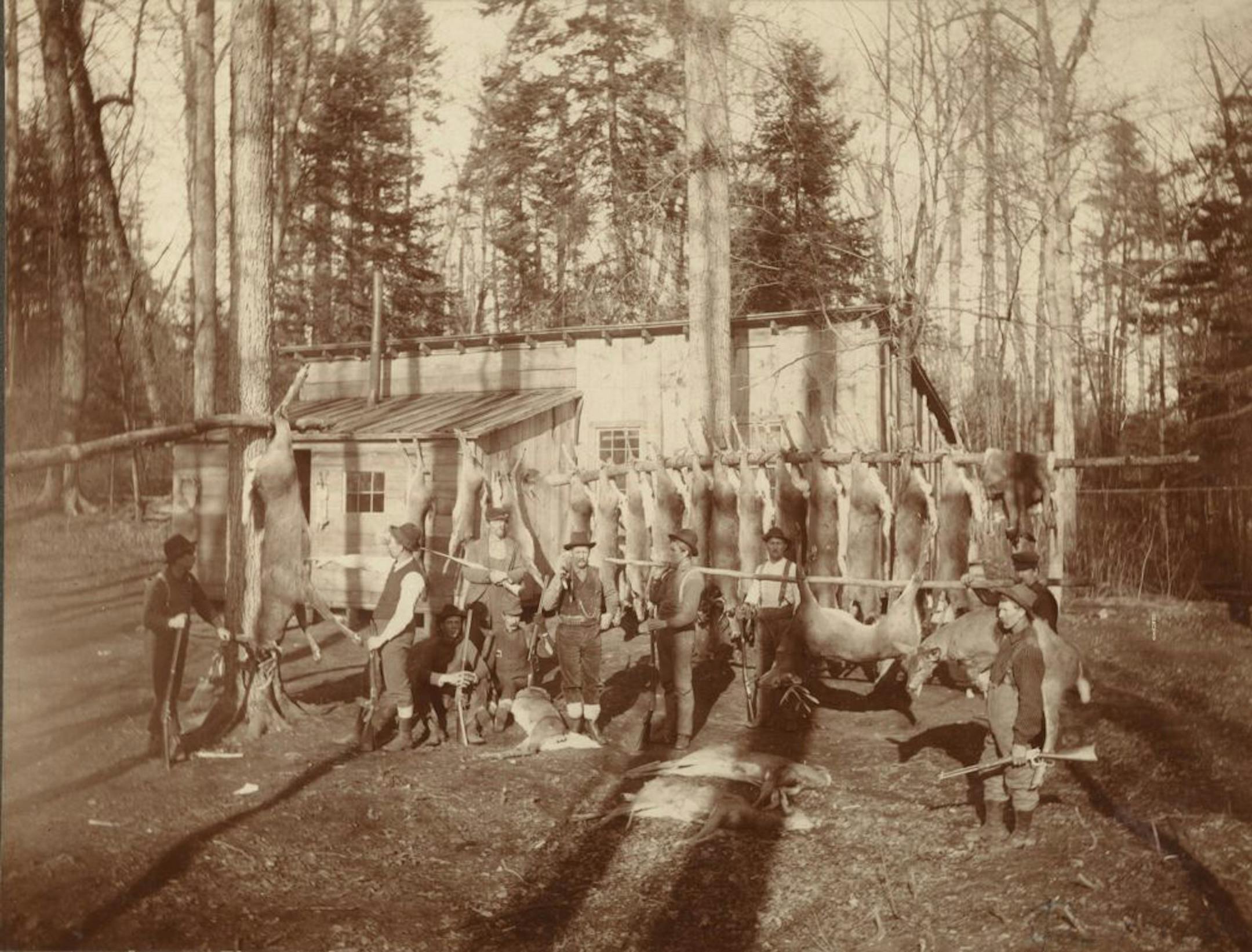 Shown in the early 1900s, a deer camp near Wrenshall, Minn., was by all appearances productive.