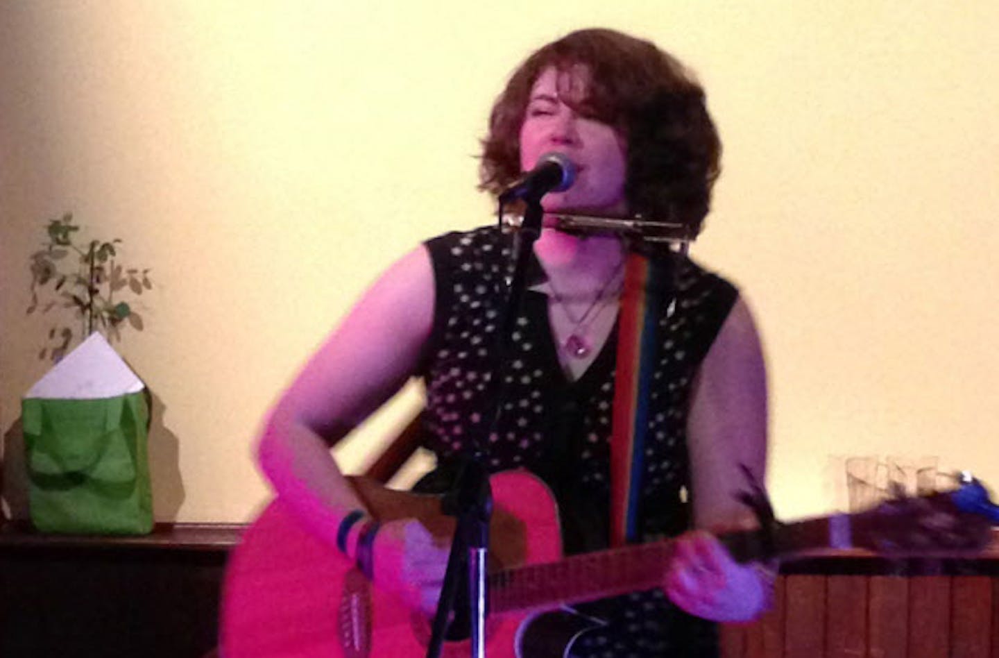 Singer/songwriter Hannah Rey played a solo set inside the Dubh Linn Pub during the 2016 Duluth Homegrown Festival.