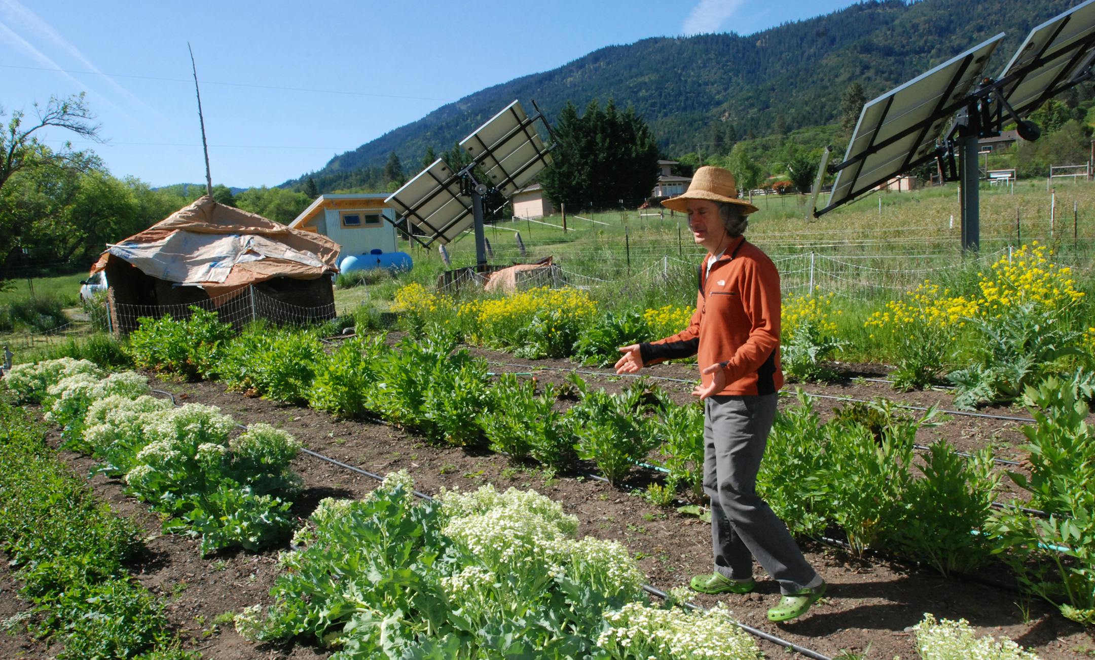 Chuck Burr explains his organic seed growing techniques May 12, 2014, on his farm outside Ashland, Ore. Organic farmers are asking voters in Jackon and Josephine counties to adopt a ban on cultivating genetically engineered crops, which organic farmers fear could cross-pollinate with some of their crops. (AP Photo/Jeff Barnard)