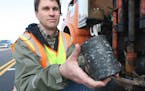 MnRoad operations engineer Ben Worel holds a core taken from an asphalt road. The coring bit, mounted on a truck, is beside him.