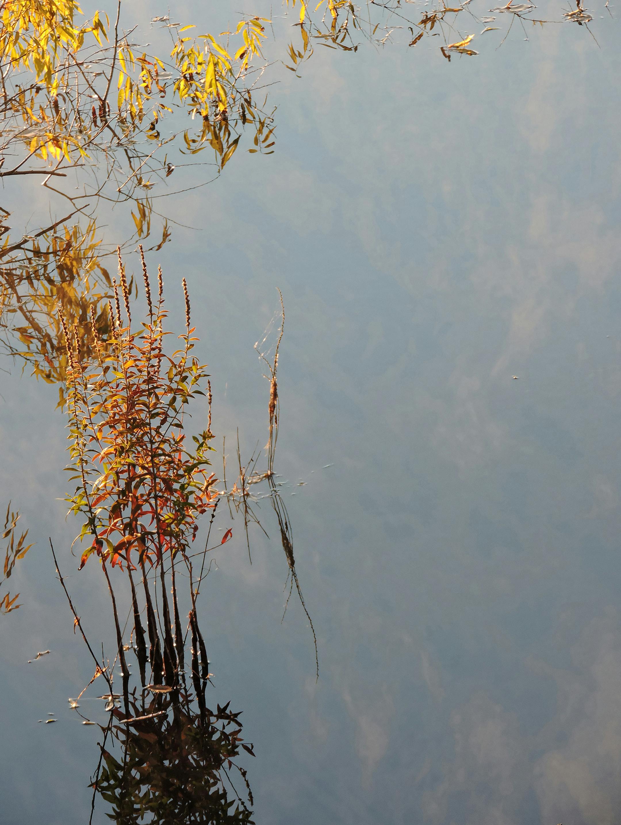 Photographer: Alison Albrecht, Minnetonka. The photo: A chilly fall morning. [focus101616
