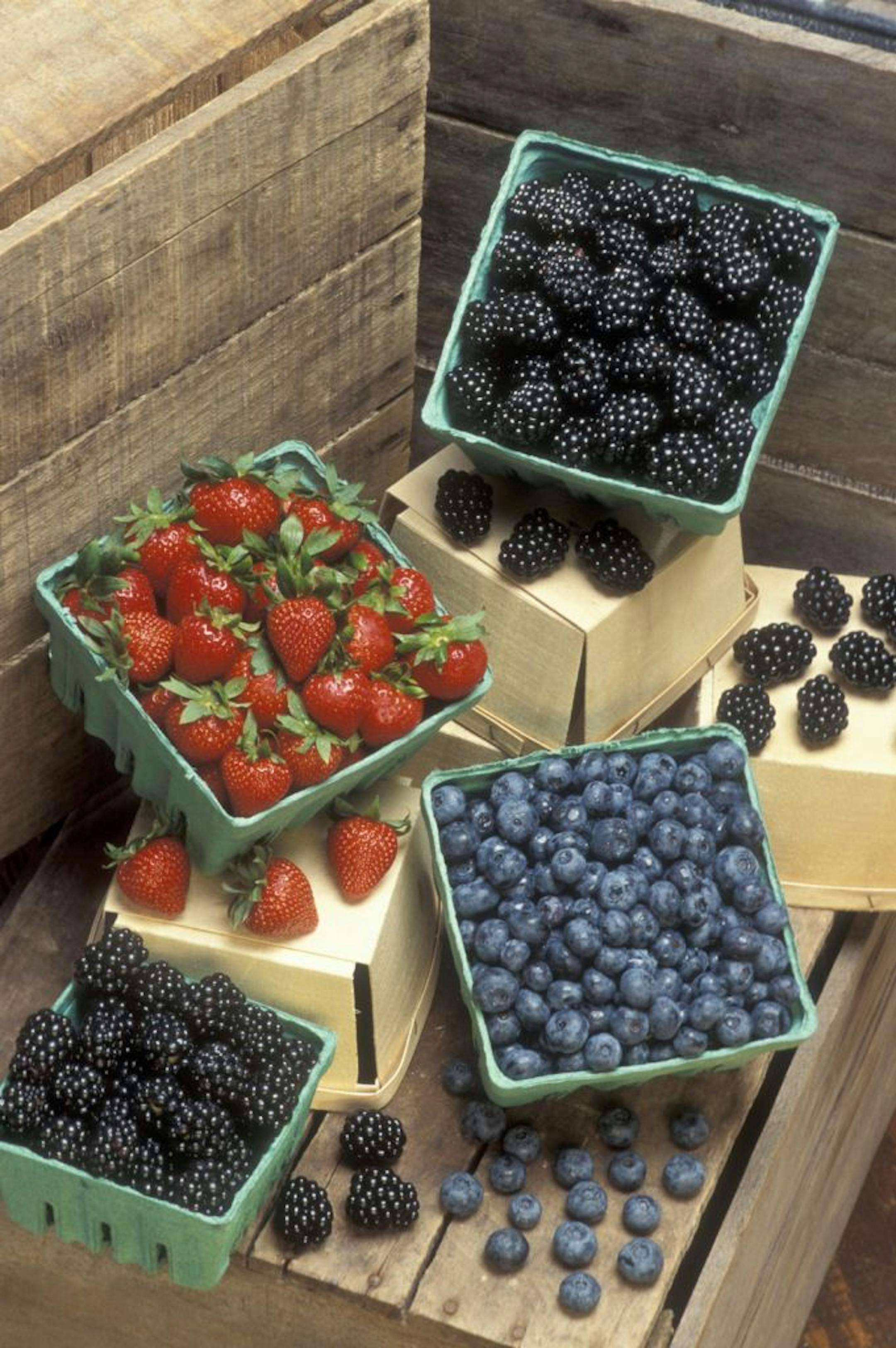 SH12A085YARDSMART Jan. 16, 2012 -- Of all the berries we cultivate, blueberries are considered the powerhouses of healthy qualities, with a huge load of antioxidants. (SHNS photo courtesy U.S. Department of Agriculture's Agricultural Research Service) Also shown: blackberries and strawberries