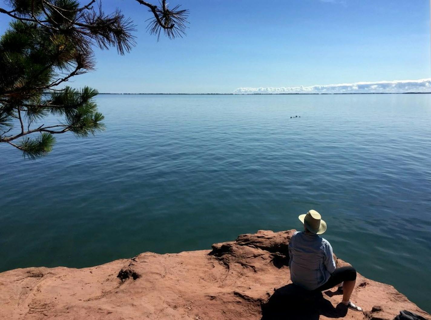 Looking out at Chequamegon Bay on Lake Superior near Bayfield, Wisconsin on August 5, 2015. Opponents of a possible large scale livestock facility in the Lake Superior watershed are worried that pollutants will run into a trout stream and Fish Creek, which empties into the Bay close to the intake pipe for Ashland's drinking water.